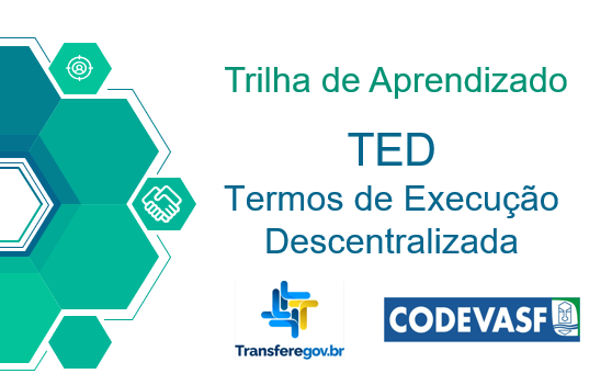 Termo de Execução Descentralizada - TED